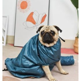 Automatic Drying Bag With Quick Drying Hair Dryer For Bathing (Option: XL-Blue)